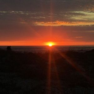 Meet your Posher, Sandy